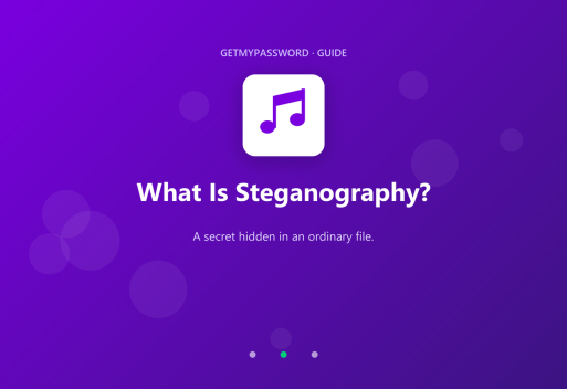 What is steganography